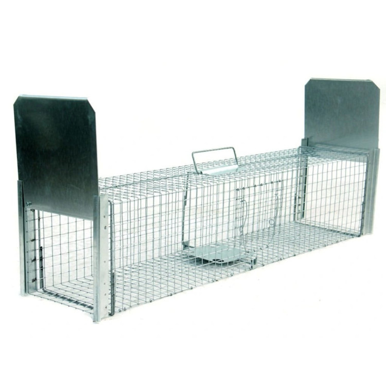 01f0394e5d79fae1b345539aaa16c890