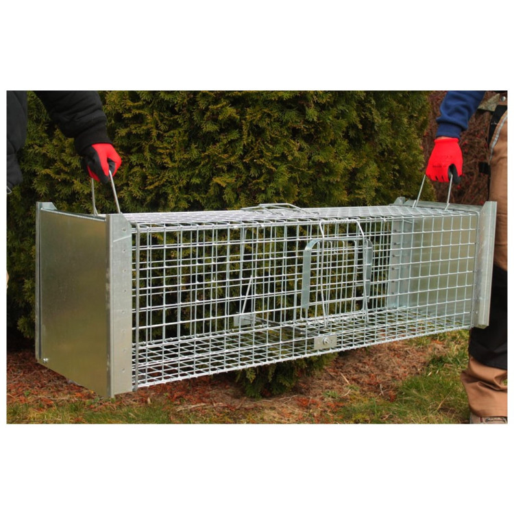 02e14a53a331c0b574a1e9bbf41d3bf8