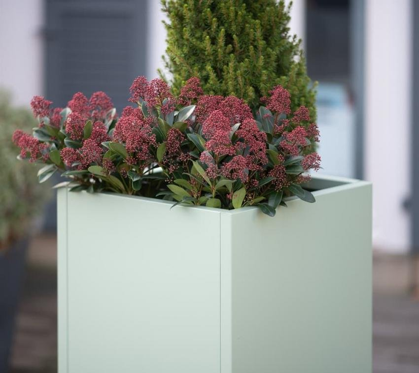 03447e171fa91e65c431afd16e40ff32