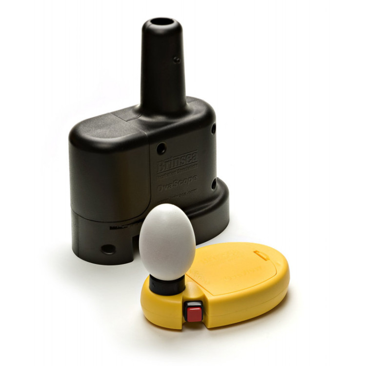 03bc6bc9410496079e262db22842bab0