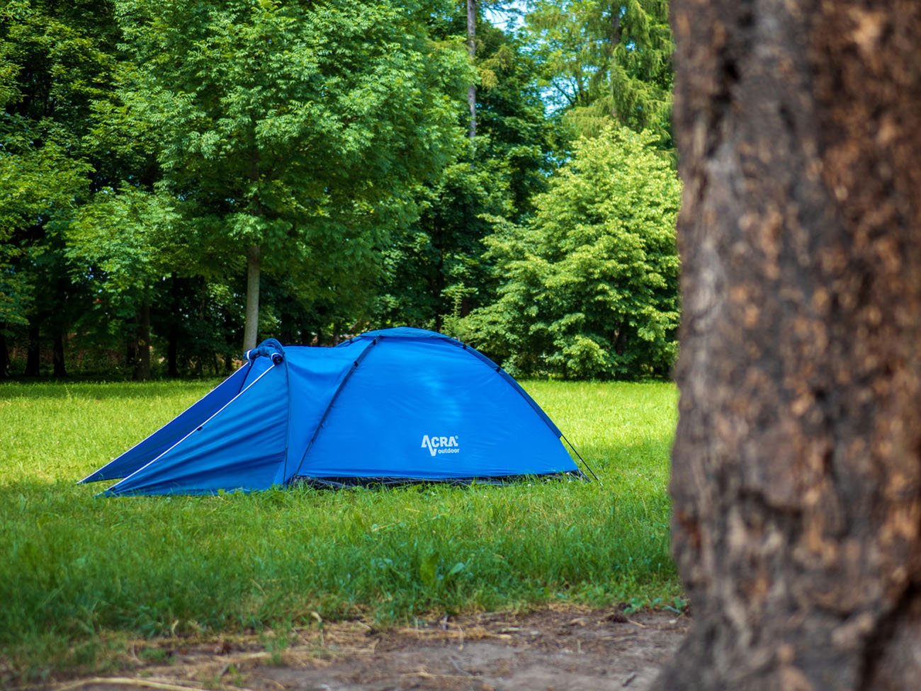 05f7cd3892b9eae2987e8db73897fc66.img