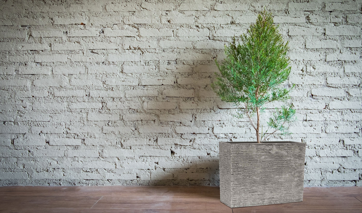 09d896718451f281e2ac18f328db1296