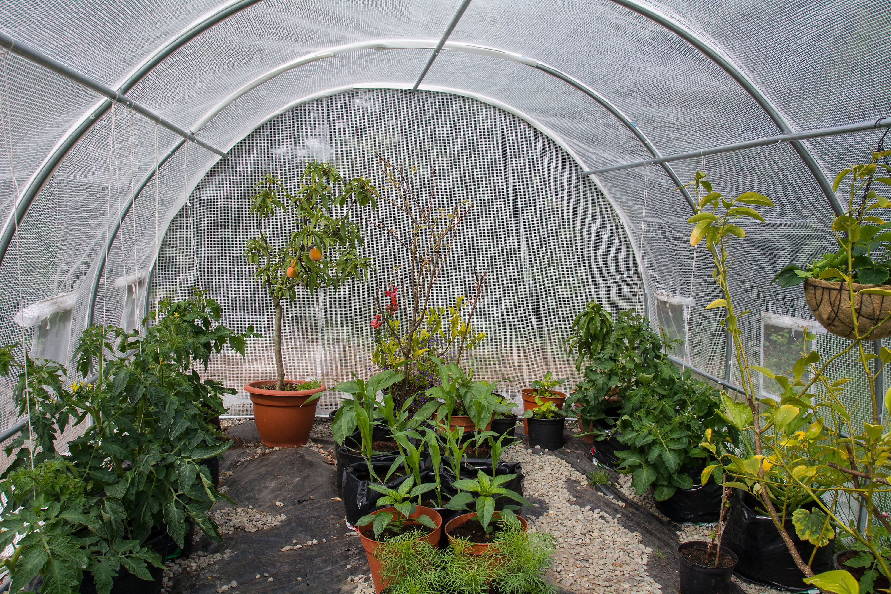 0b4ccad7e53bdd1fefedc65969c27cb4.img