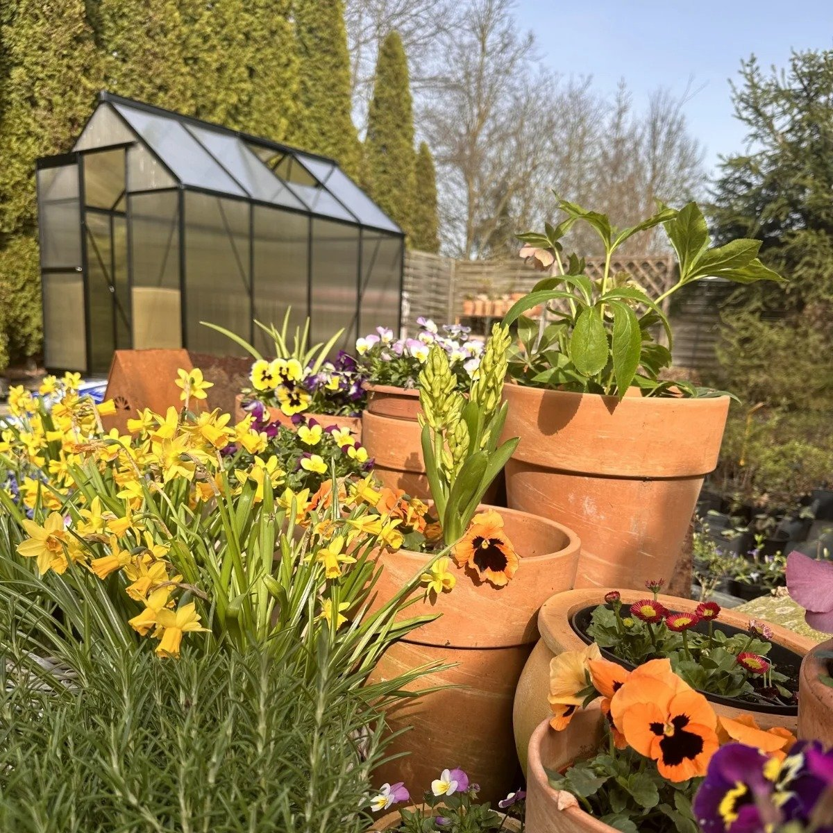 0babae914c0b2ccffe03b346000e6160