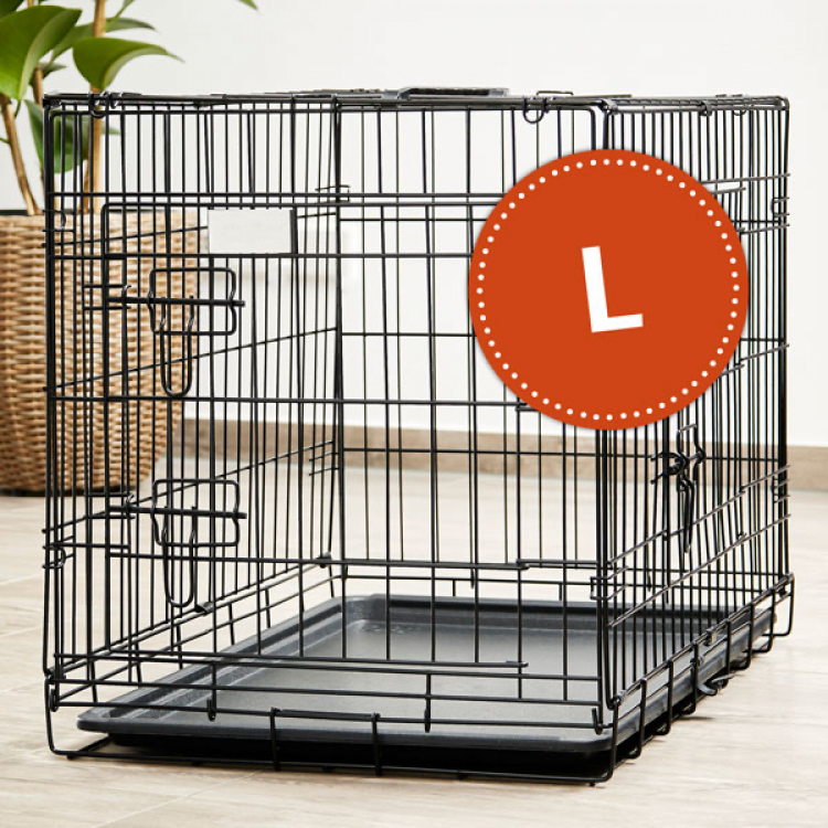 0fa06ca2f64bca045d6f343775df98bc