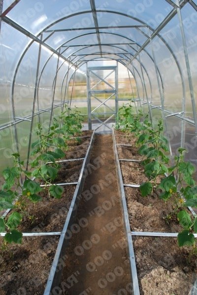 116f0f52d9e6ad87d3e188077e85d464