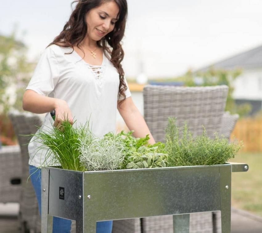 11ad5eeb22bc94669fba005adf0a63bf