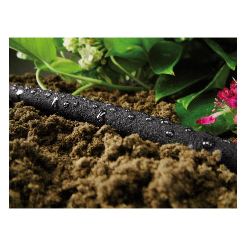 11e197f288b818dbadaddebbb8b2f053