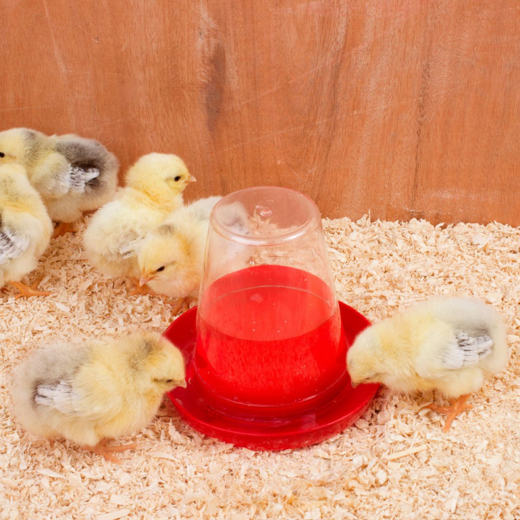 12b03ee3788d030338a97a2a511cadea