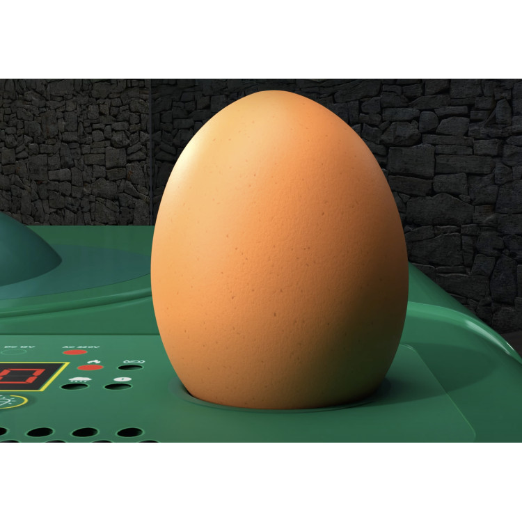 13bca030f66f966ee568bbe8ac505fde