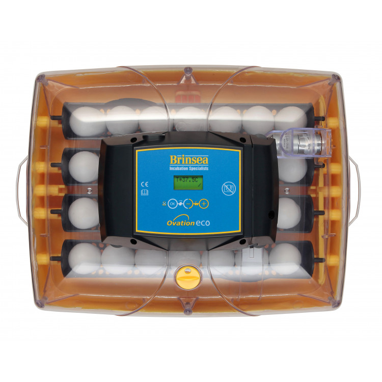 16767904c568a5147eac34786eee536e