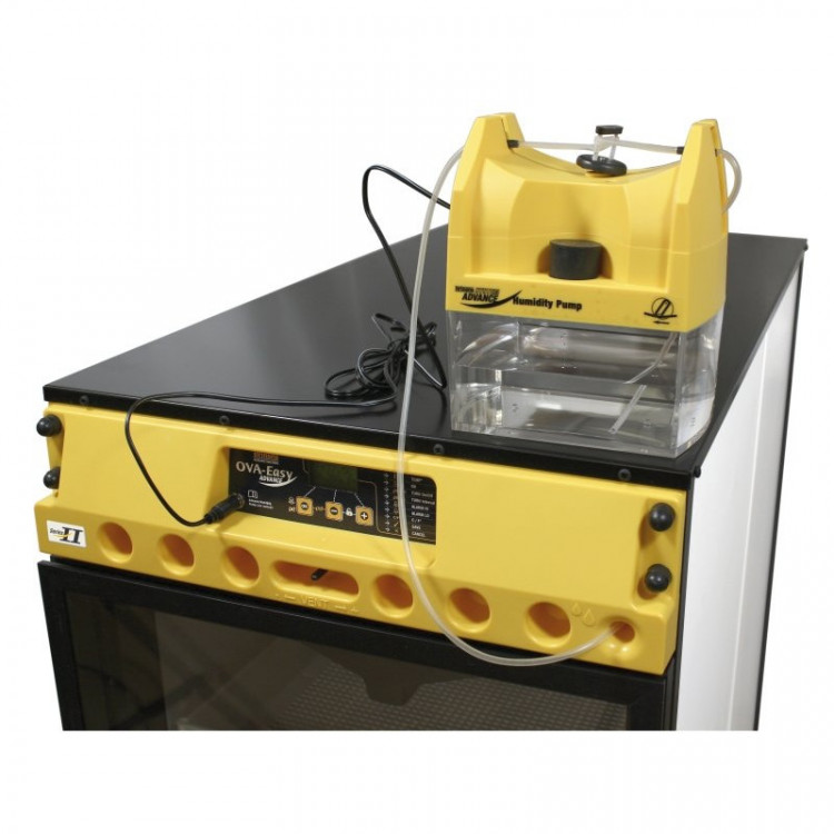 16997a23b62b73b2bfb06e17c9be7ffe