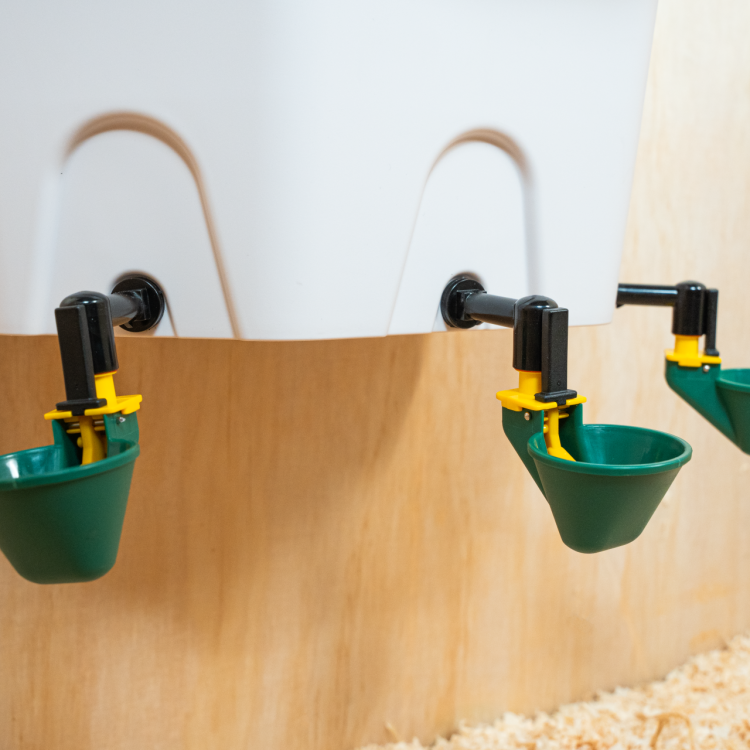 18a1d48ae30244a09a05d1e5f850191a