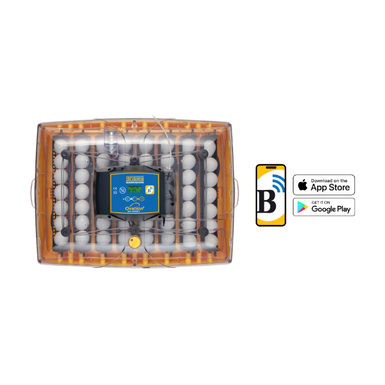 19b99d72158735ab253ec57629127121