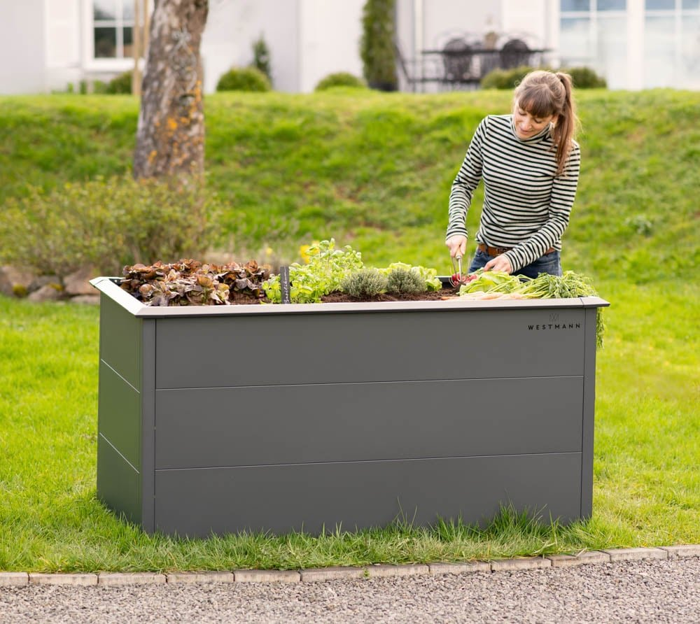 1a92d82a82f828ad62bccfebda85b475