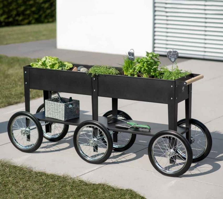 1aa4bc00ccfd913c10be8d9eeea58e96