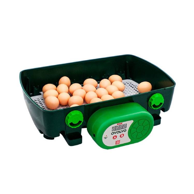 1e01065b91f6a97205e0bb579a196a24