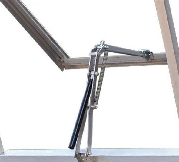 1e8b5b47be474307a0441902f25c3648