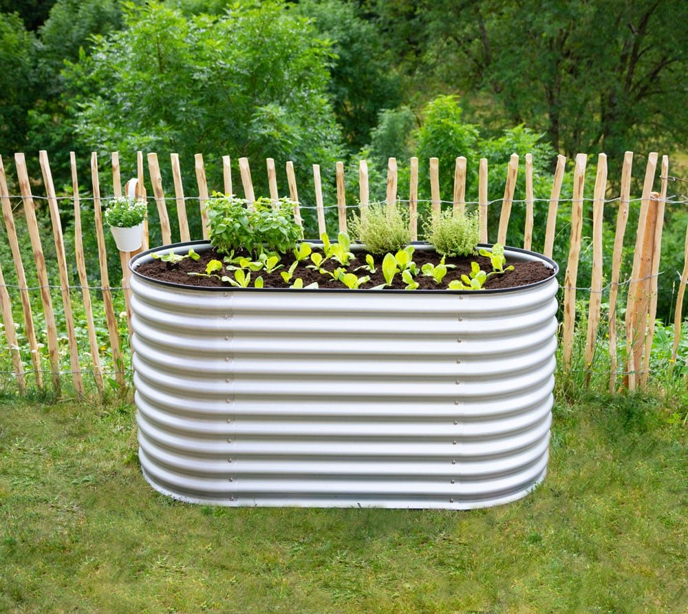 20c9dbf7bc4a16fce129d061ee8fa109