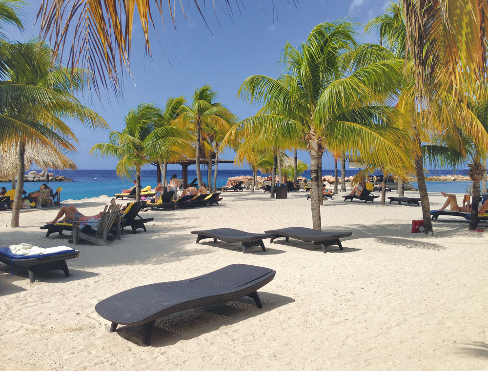 21d8a4ebe82d3390932041355ae9f846