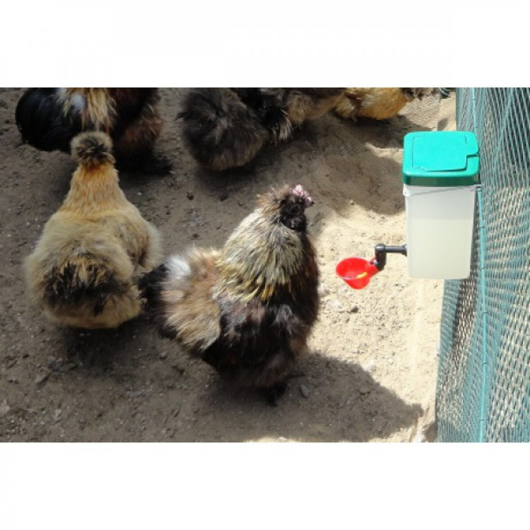 21d8e985b0051bdbe6f5d56024b66131