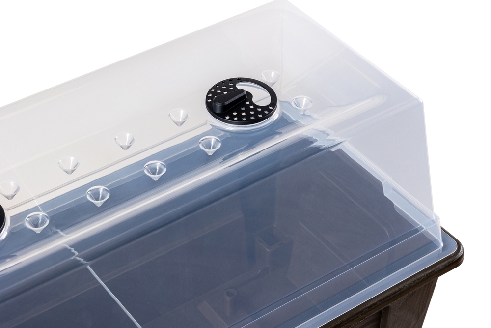 21e87829dea0502631e07b9a4bc02022