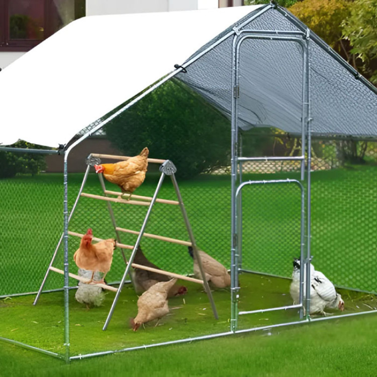 23698f96b27663f8e7a3b8faf1e45c96