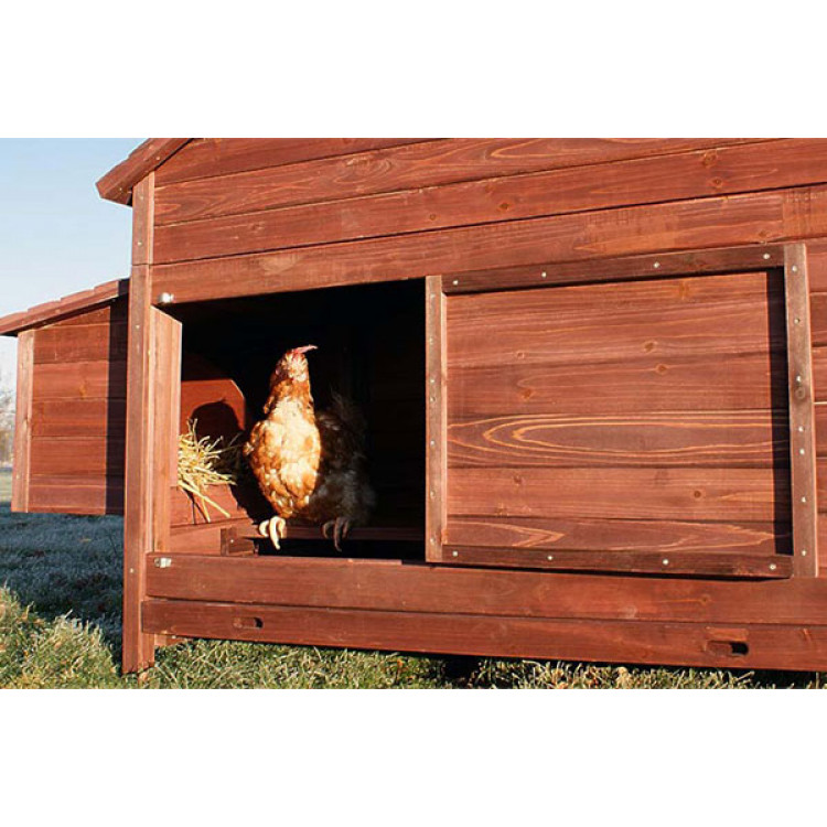 23703e3452ee4633ba8098f965273896