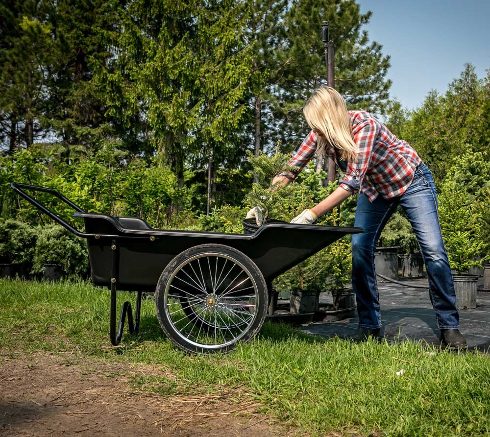 23917441fe6e1b788efbabb72d97cf2f