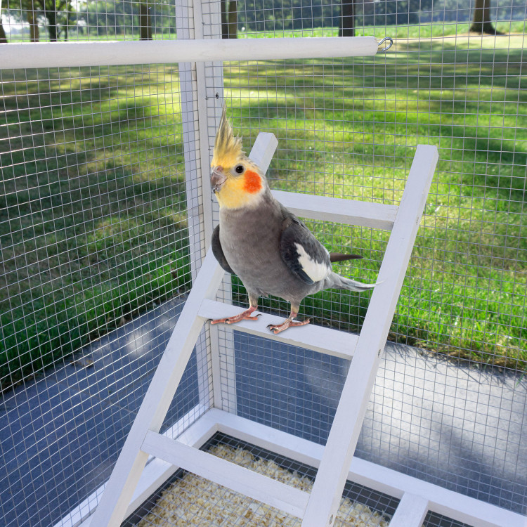 255f4ef282bd63b344be5fb87c67b191