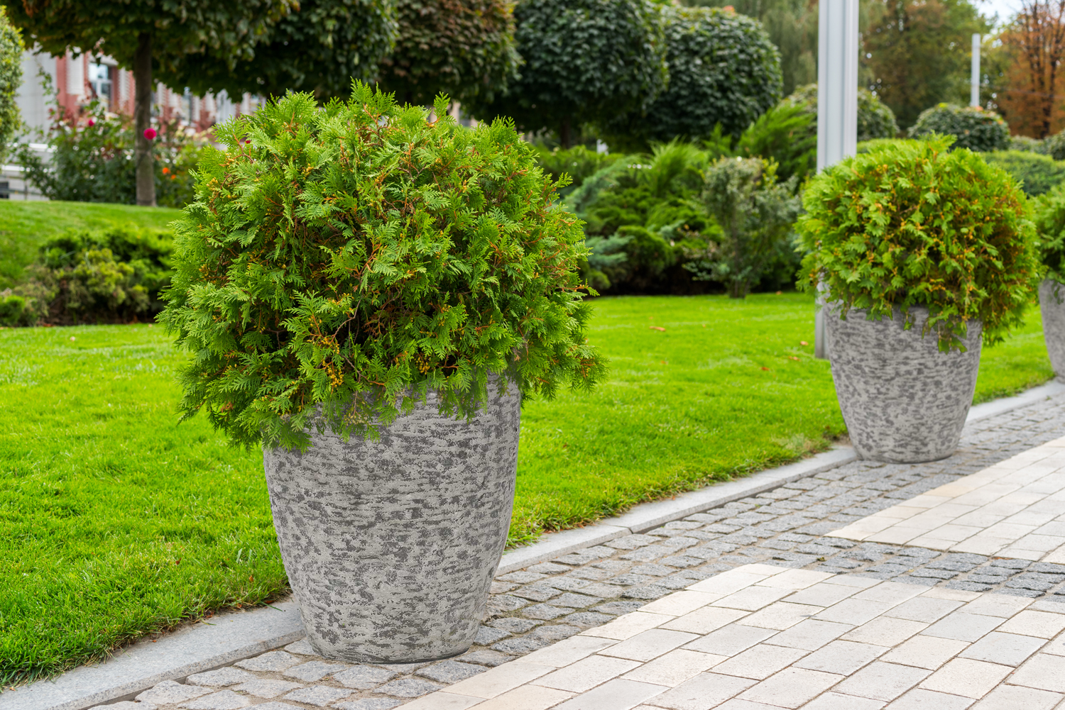 27261e9e44c6ce5d94f058f3ab109724.img