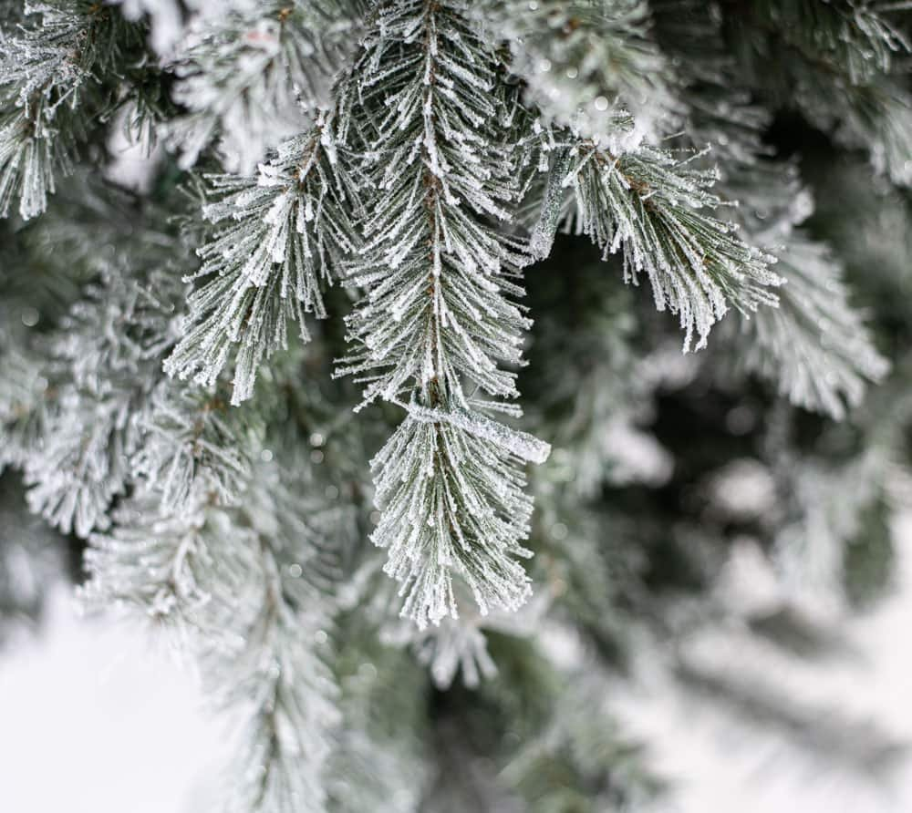 28ce759d888cc1e3a763cc3e49fbd214