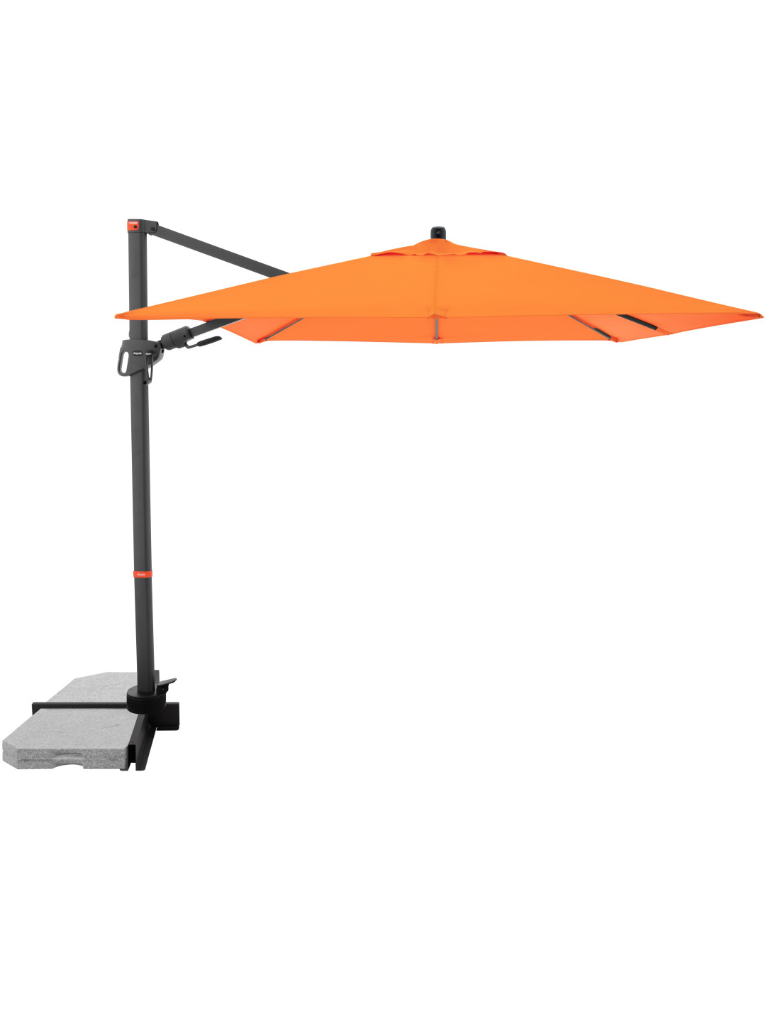 2946968311c517a74180e72ea884c3c5