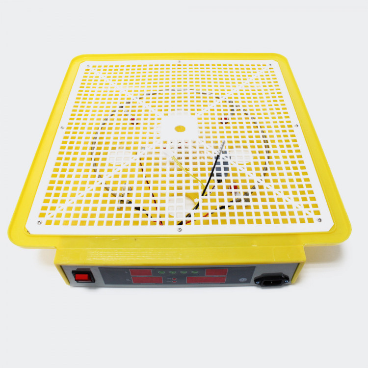 295bd527425c2bbfe5511138eeb442c7