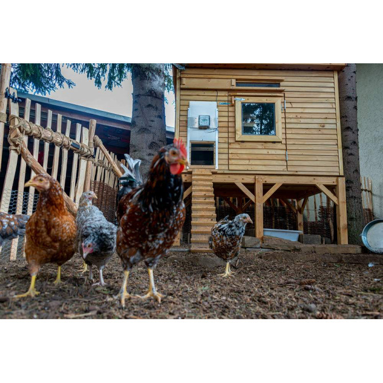 2a6dc400eeab460c648c6db6921d69d8