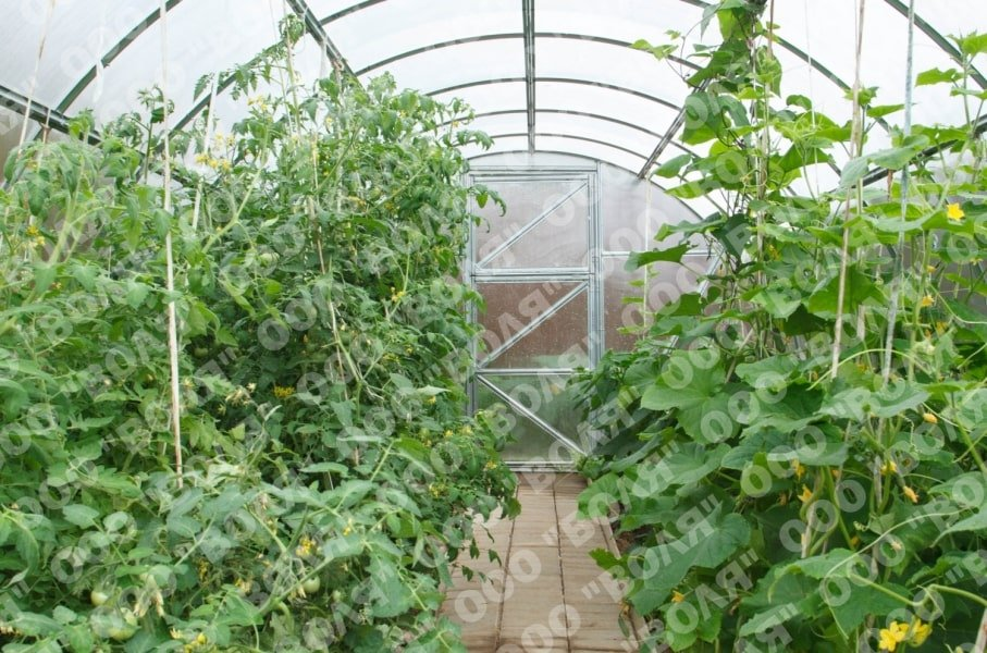 31b1dc125419e2010c8ea3ad1e80d381