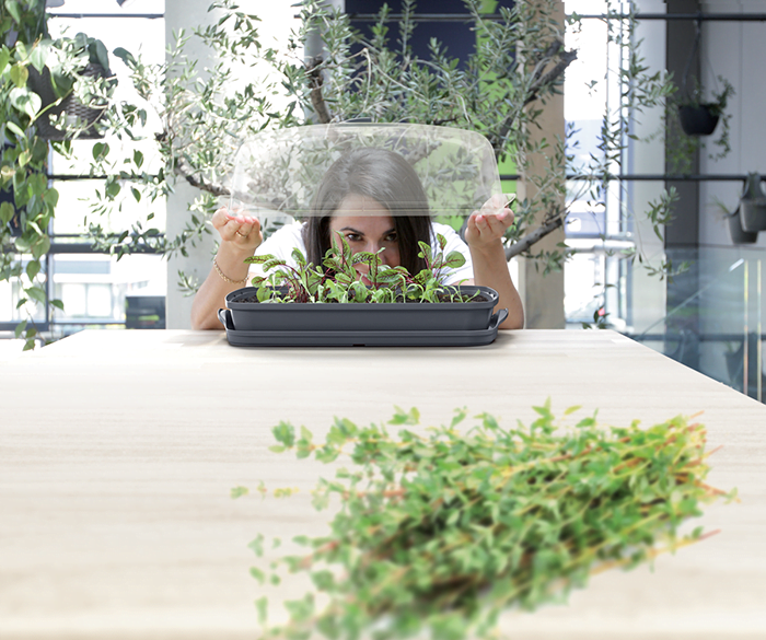 31f1c03dfaaae89b670791887747b0f8.img