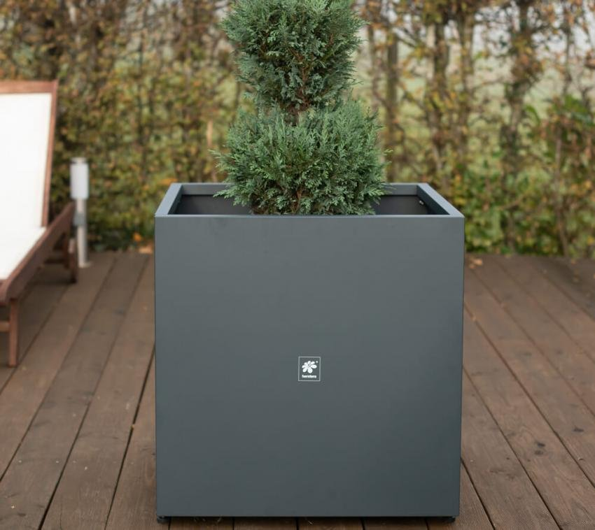 33ff186a00e6caff535ee5231ed75e80