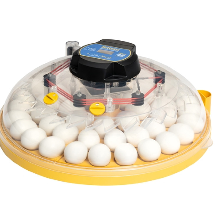 34b092c33892d3e89f0d3279ebbf715e