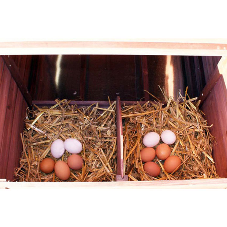 356dd1b40e150c55d2eb898667010ef2