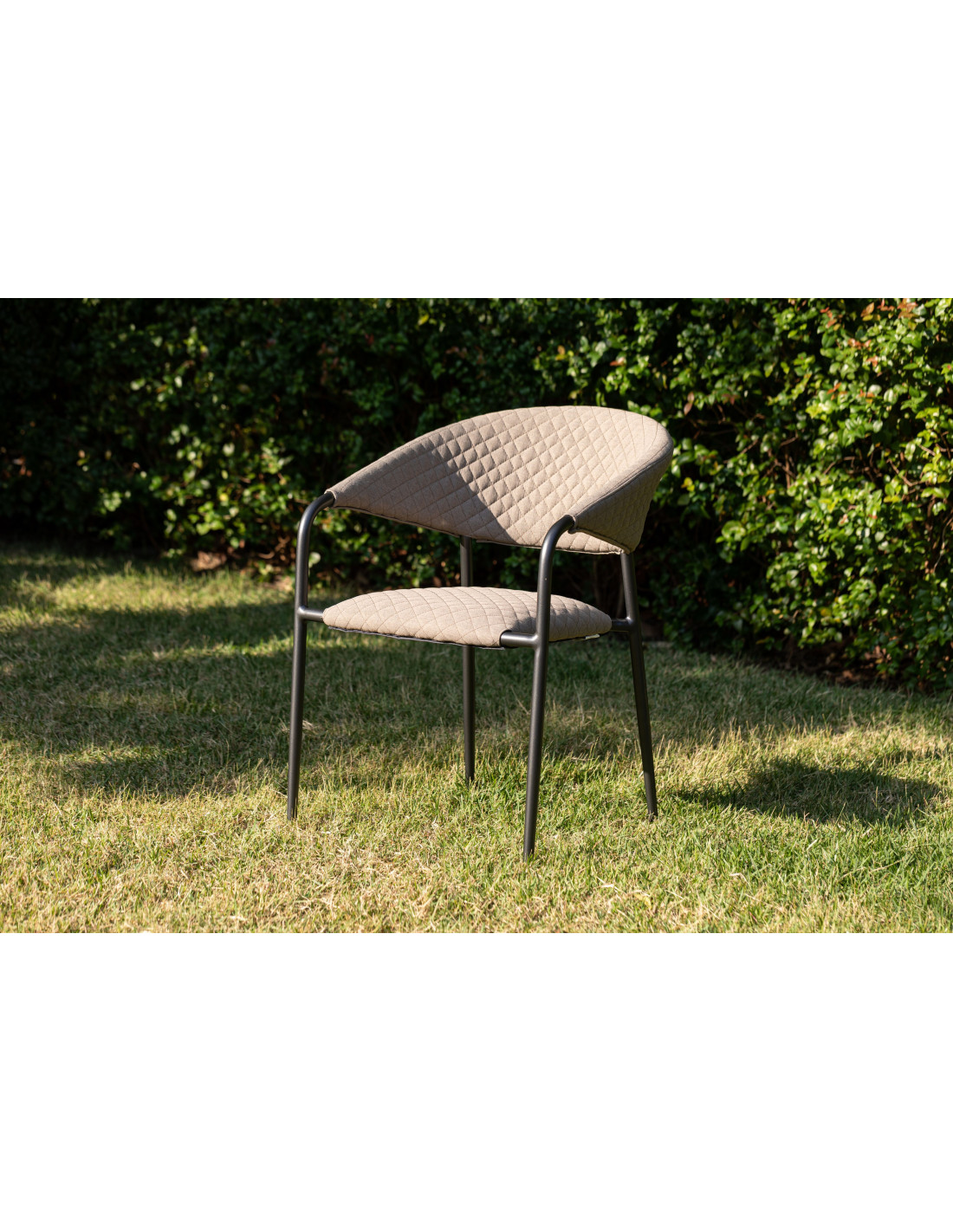 360d0ed2f8e545f8dfaa6c78c8733872