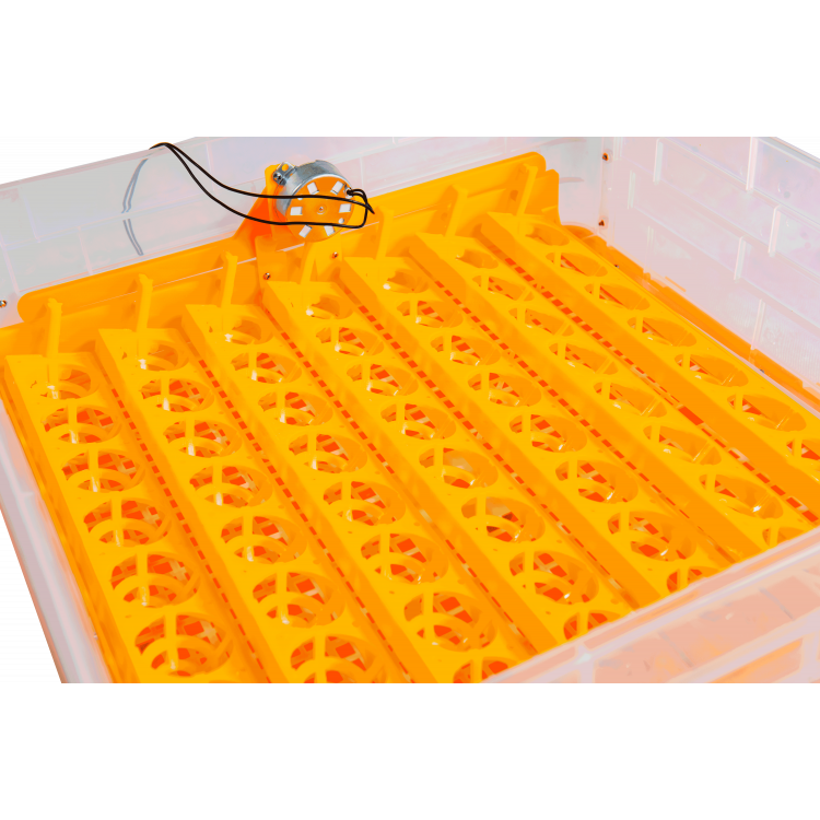 368a6d5065621df38710b6b66822f912