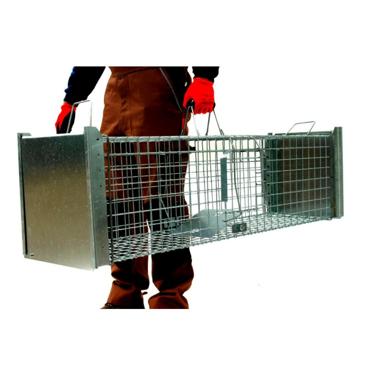 36a647a4fe2d0d1e470e757af7e6d239