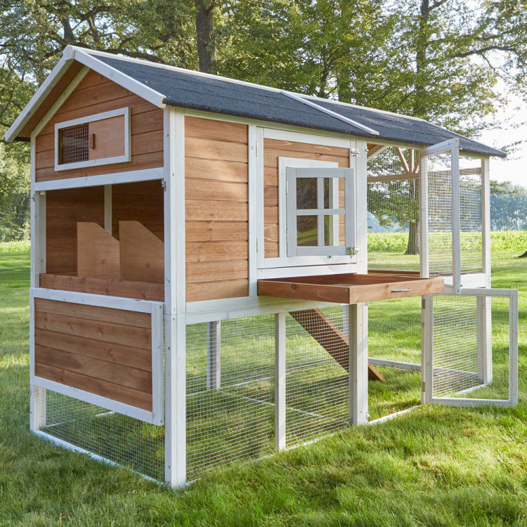 37519ee155e0a42cdf28287bbb0c1e43