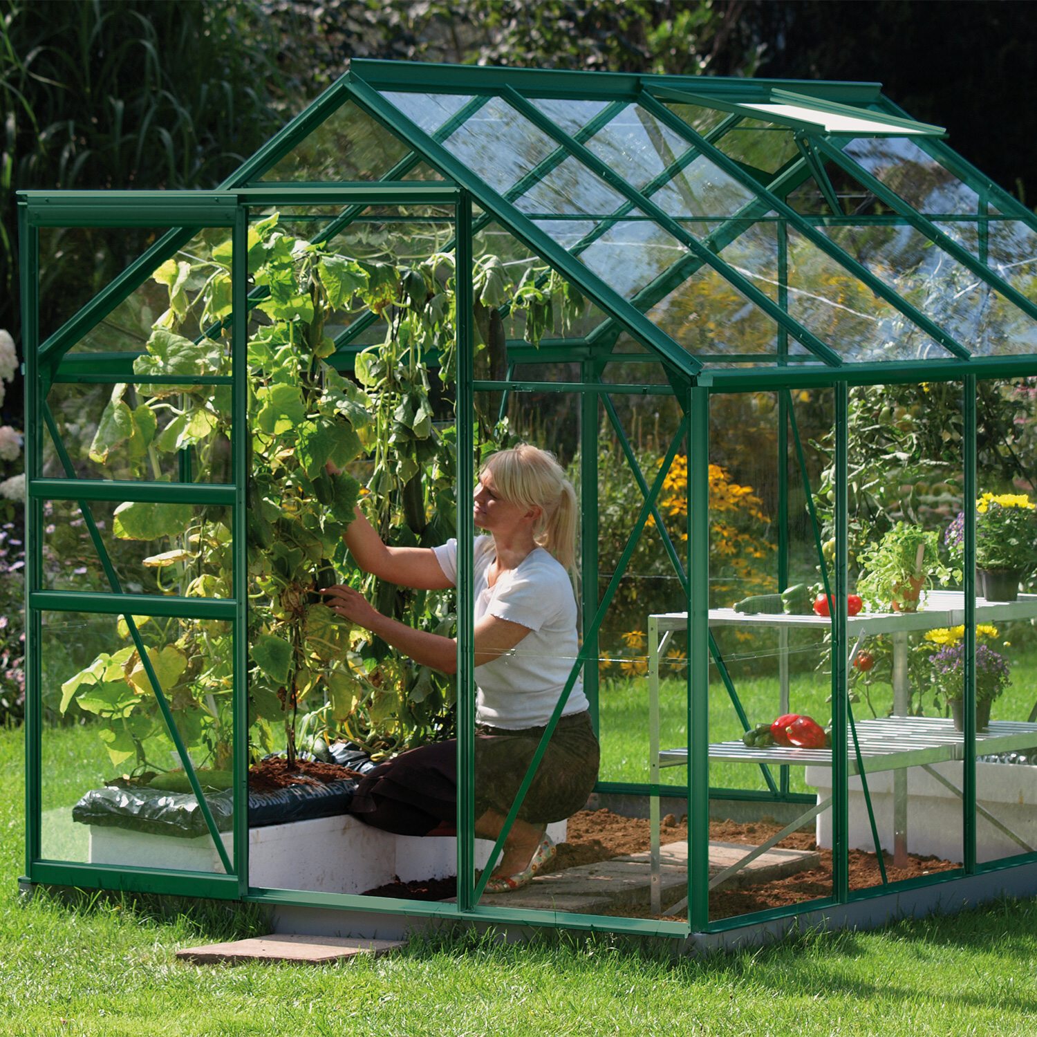 383e09fa123268db6d50c3e060c4bdcc