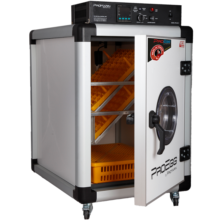 399fcd214f4c416670c1d224f9af52a2