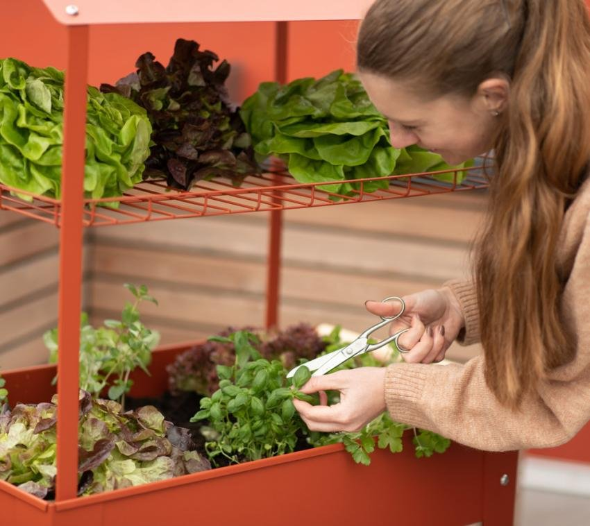 39fb3d46c701396fdd4306c70da3c31a