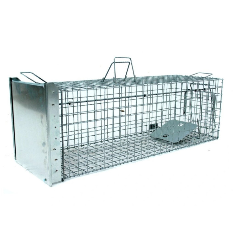 3a86737af1d5cee57846d2966ea4a39f