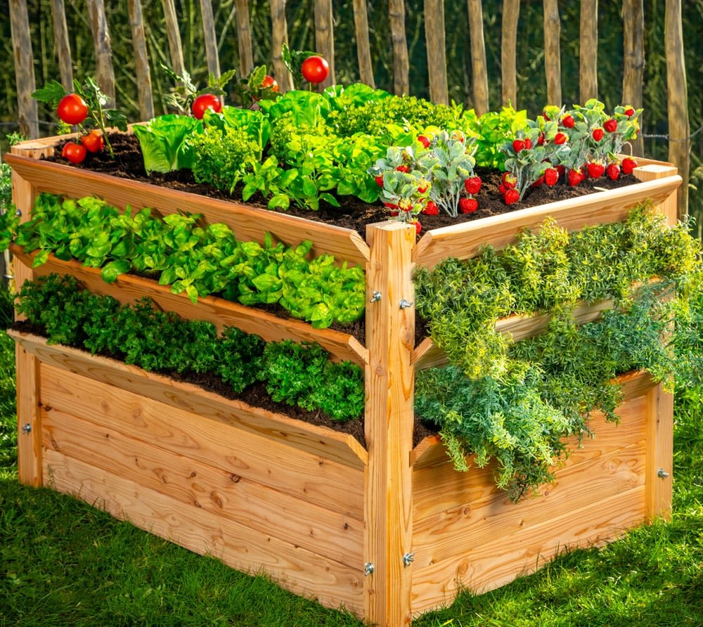 3c1d107bd1a9da4d44fd8d493ce0b744