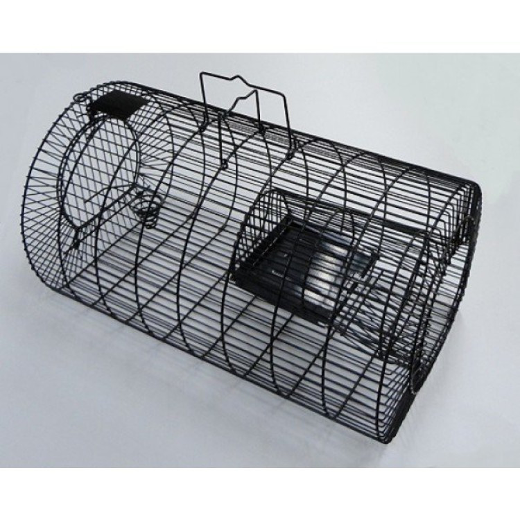 3c9e15fa291e8aa0468a8f79a722bc20